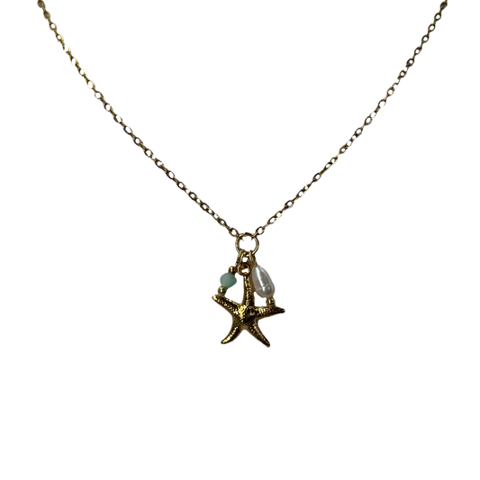 Minimalistic starfish azure necklace