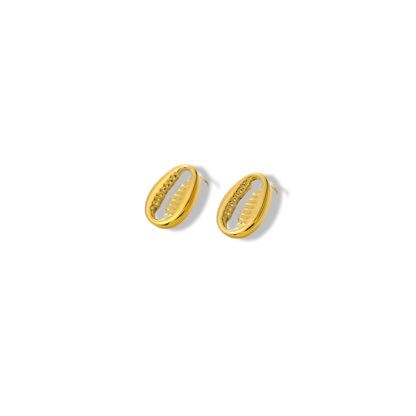 Simple shell earrings