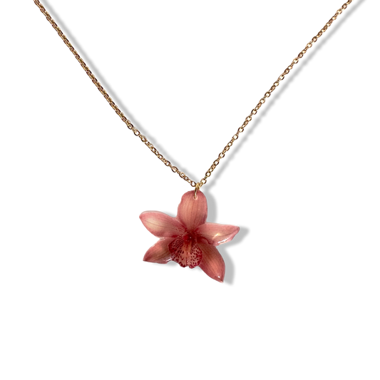 Acrylic pink cymbidium orchid